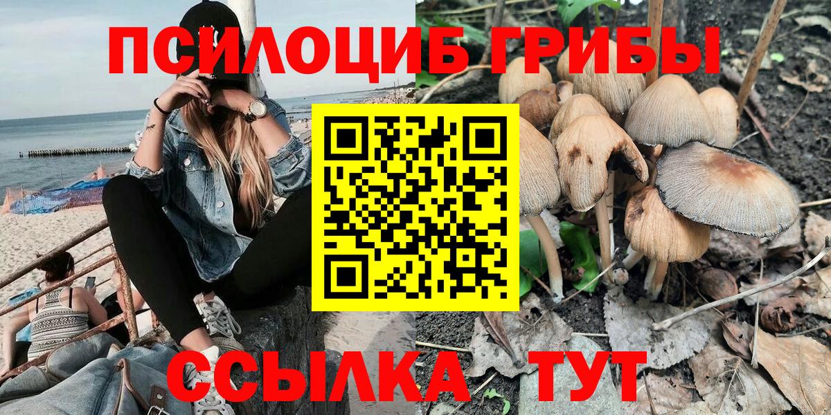 Галлюциногенные грибы Psilocybe Уссурийск